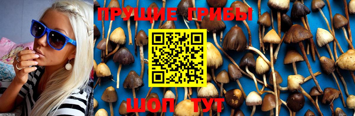 Псилоцибиновые грибы Magic Shrooms Каспийск